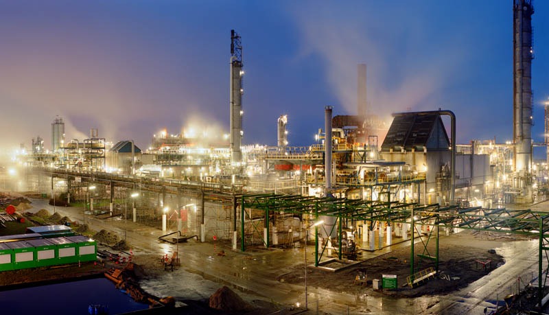 20081216-plant-by-night-1