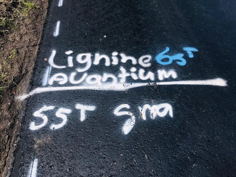 CO<sub>2</sub> reduction of road construction with plant-based lignin