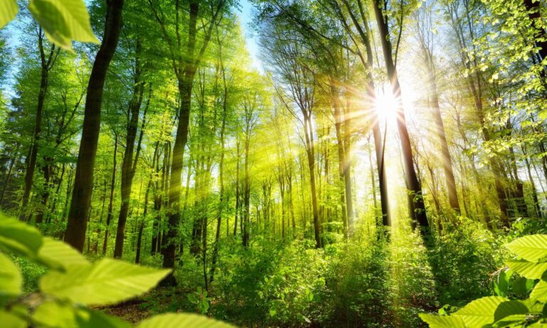 The Northern Netherlands aims to be Europe’s most sustainable industrial area by 2030