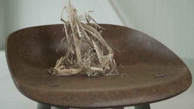 VepaDrentea presents CO2 negative chair