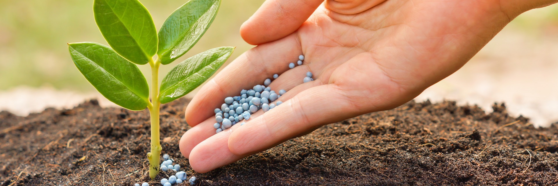 slow-release-fertilizer